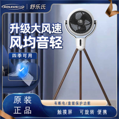 舒乐氏空气循环扇家用电风扇落地扇台式静音涡轮遥控直流小型电扇