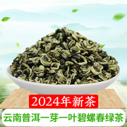云南普洱碧螺春绿茶自己喝自饮2024年新茶一芽一叶滇绿特产散装茶