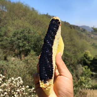 黑蜂蜜云南高山黑蜜野生米团，花蜜纯正天然成熟土蜂蜜农家自产