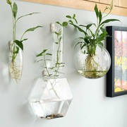 北欧壁挂水培玻璃花瓶小鱼缸，绿萝铜钱草，水养植物器皿房间墙壁装饰