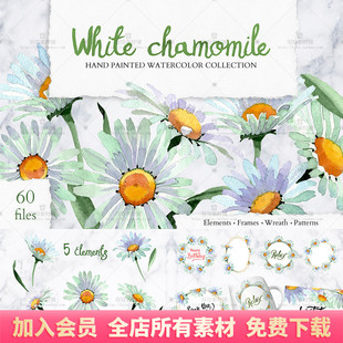 手绘水彩白色洋甘菊花卉花环边框背景图案PNG免抠图海报设计素材