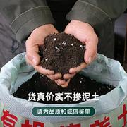 花泥营养土养花通用型家用花土专用有机种花种菜土绿萝土壤种植土