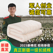 6斤新疆棉被芯暖气房被子冬被铺床的铺底棉絮床垫褥子垫被春秋被