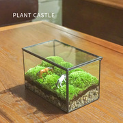 苔藓微景观摆件h 鲜活植物青苔白发藓玻璃盆景迷你微观生态瓶 苔