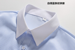女式正装领白领蓝色条纹长袖衬衫方领条纹工作服职业装衬衣