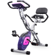 雷克动感单车家用折叠健身车磁控小型迷你运动塑身室内锻炼脚踏车