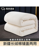 新疆棉花被褥子床垫软垫铺底床，褥垫棉絮垫背被子垫被冬季加厚棉睡
