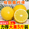 新鲜四川安岳柠檬5斤当季水果6皮薄，小青香水鲜黄柠檬整箱