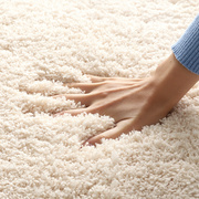 轻奢地毯客厅现代简约加厚榻榻米茶几毯家用卧室，地垫可睡可坐水洗