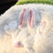 可爱立体兔子情侣装，秋冬毛衣甜美少女，感马海毛针织衫外套2023
