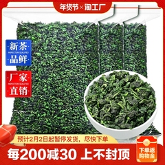 铁观音茶叶2023新茶一级浓香型乌龙茶散装兰花香口粮茶袋装茶业