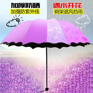 遇水开花雨伞男女折叠太阳伞黑胶晴雨两用防晒防紫外线加厚遮阳伞