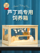 芦丁鸡饲养箱超大号实木鸡盒亚克力造景用品柯尔鸭鹌鹑仓鼠专用箱