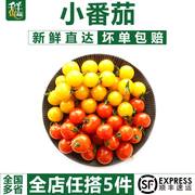 千牛优福 樱桃小番茄400g 红黄圣女果新鲜蔬菜水果西红柿 5件