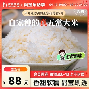 2023年新米10斤老爸评测正宗五常稻花香2号大米新米
