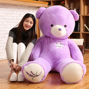 薰衣草小熊公仔紫色泰迪熊大抱抱熊毛绒玩具布娃娃生日礼物送女生