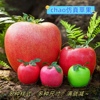 假大号青苹果水果模型仿真chao大号红苹果舞台装饰拍摄道具泡沫