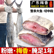 咸鱼干梅香咸鱼500g马鲛鱼，自晒腌制霉香臭咸鱼茄子煲广东特产干货