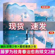 赠海报+书签偏偏宠爱实体书正版全2册藤萝为枝青春成长治愈救赎的故事江忍都市爱情青春言情小说女性校园爱情晋江文学