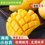 海南三亚小台农芒果9斤装新鲜采摘当季热带水果皮薄核小甜蜜多汁5