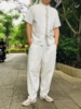 泰国男装棉麻T恤夏套装立领白色宽松大码短袖体恤民族风复古上衣