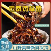 *新疆西藏鸡纵菌松茸菌油鸡枞菌牛肝菌云南特产即食蘑菇下饭