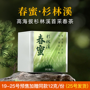 杉林溪-春蜜75g可冷泡清香果香春季限量私房茶台湾高山乌龙茶