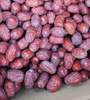 购5送一散装三级玉枣原生态，泡水红枣224团新疆和田玉枣