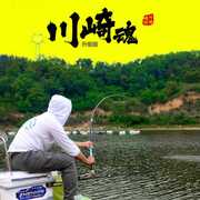 5.4高档米鱼竿日本进口碳素台钓竿，28调超轻超硬钓鱼竿手竿鲤