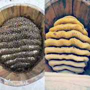 高山富硒结晶苦蜂蜜纯天然农家自产原生态野生土蜂蜜一年只取一次