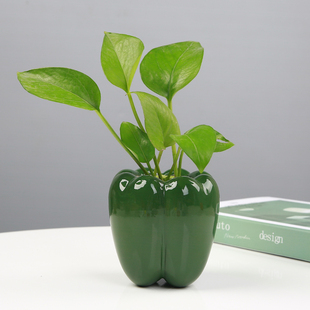 创意陶瓷绿萝水培花瓶现代简约器皿家用客厅办公室鲜花插花小摆件