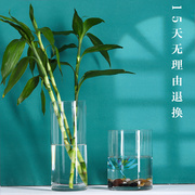 网红高档水培植物玻璃瓶透明直筒圆柱花瓶简约绿萝富贵竹落地水养