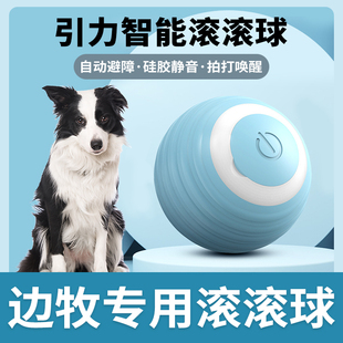 边牧犬专用逗狗狗玩具球，神器自嗨解闷宠物犬，小狗智能自动遛狗球