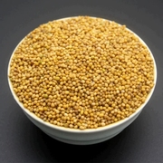 芥末籽粒 500g芥菜子芥辣菜籽干净黄芥末粉籽黄介籽 Mustard seed