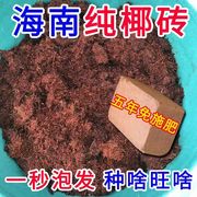 首单直降椰砖无盐无菌营养土通用型椰土椰糠土种花养花种菜土