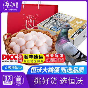 恒沃大鸽蛋商务送礼盒22gx30枚新鲜鸽子，蛋恒蜂源送礼袋