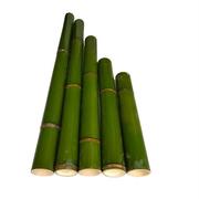毛竹斑竹鲜竹筒竹子装饰竹筒饭蒸饭筒竹杯子，碗花园栅栏材料