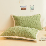 珊瑚绒枕头套一对装家用冬季牛奶法兰绒枕套枕芯内胆套枕巾48x74