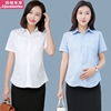 孕妇装白色短袖衬衫夏装，短款职业工装，上班蓝色衬衣夏季上衣工作服