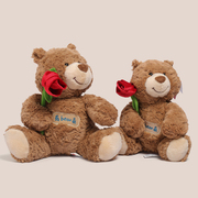 玫瑰花小熊玩偶毛绒玩具女生睡觉抱抱熊送女友生日礼物表白泰迪熊