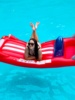 水上充气床游泳圈浮排加厚大号成人网红拍照海边充气垫躺椅浮床