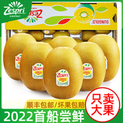 新西兰奇异果金果大果新鲜水果当季进口品种黄心猕猴桃整箱