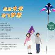 天眼伞布风筝潍坊大型风筝品牌可挂灯挂尾三角风筝