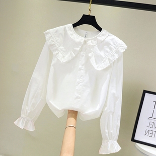 2024韩版洋气长袖白衬衫儿童蕾丝娃娃领打底上衣女童春秋衬衫