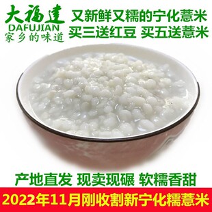 22年新收割(新收割)福建宁化糯薏米薏苡仁薏米，500g赛金沙小薏米仁红豆