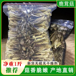 鹿茸菇新货500g干货鹿茸菌新鲜古田脆脆菇干菇煲汤食用菌香菇蘑菇