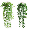 仿真植物绿萝壁挂吊篮花，藤条蔓藤叶藤常青藤塑料，树叶装饰阳台绿植
