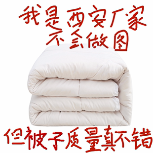 宿舍全棉被子被芯冬被单人4斤1.5米棉花被新疆棉被棉絮棉胎垫被褥
