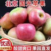 苹果北京市平谷区正宗国光苹果酸甜老品种，小国光当季孕妇水果整箱