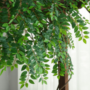 仿真榆树叶手感过胶塑料榆树支绿色植植物叶子，假树枝工程装饰造型